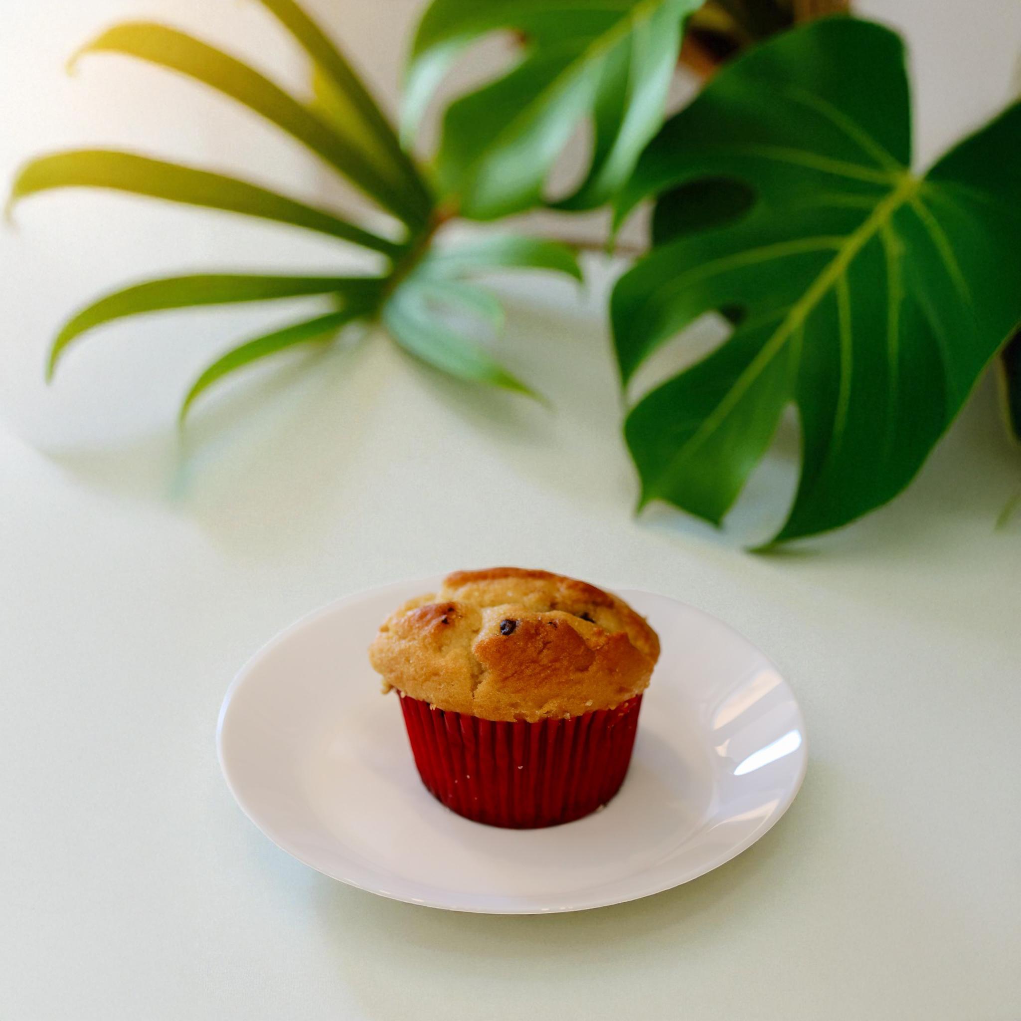 Muffins