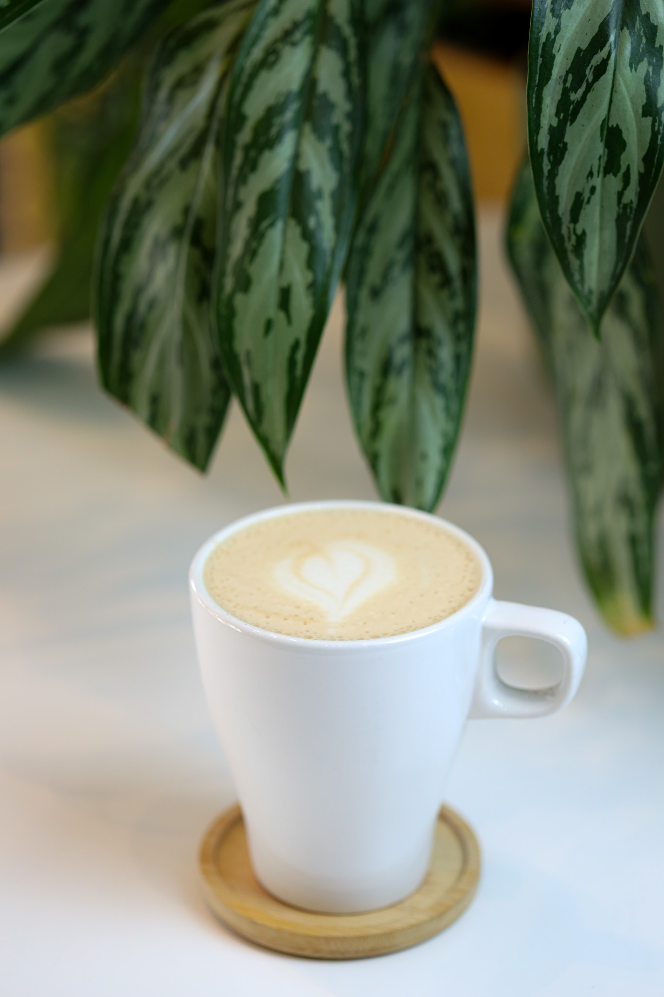 Chai Latte