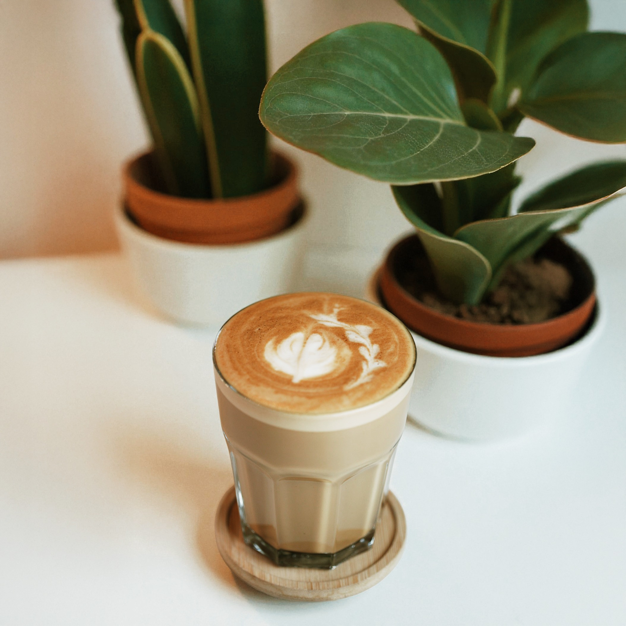 Flat White