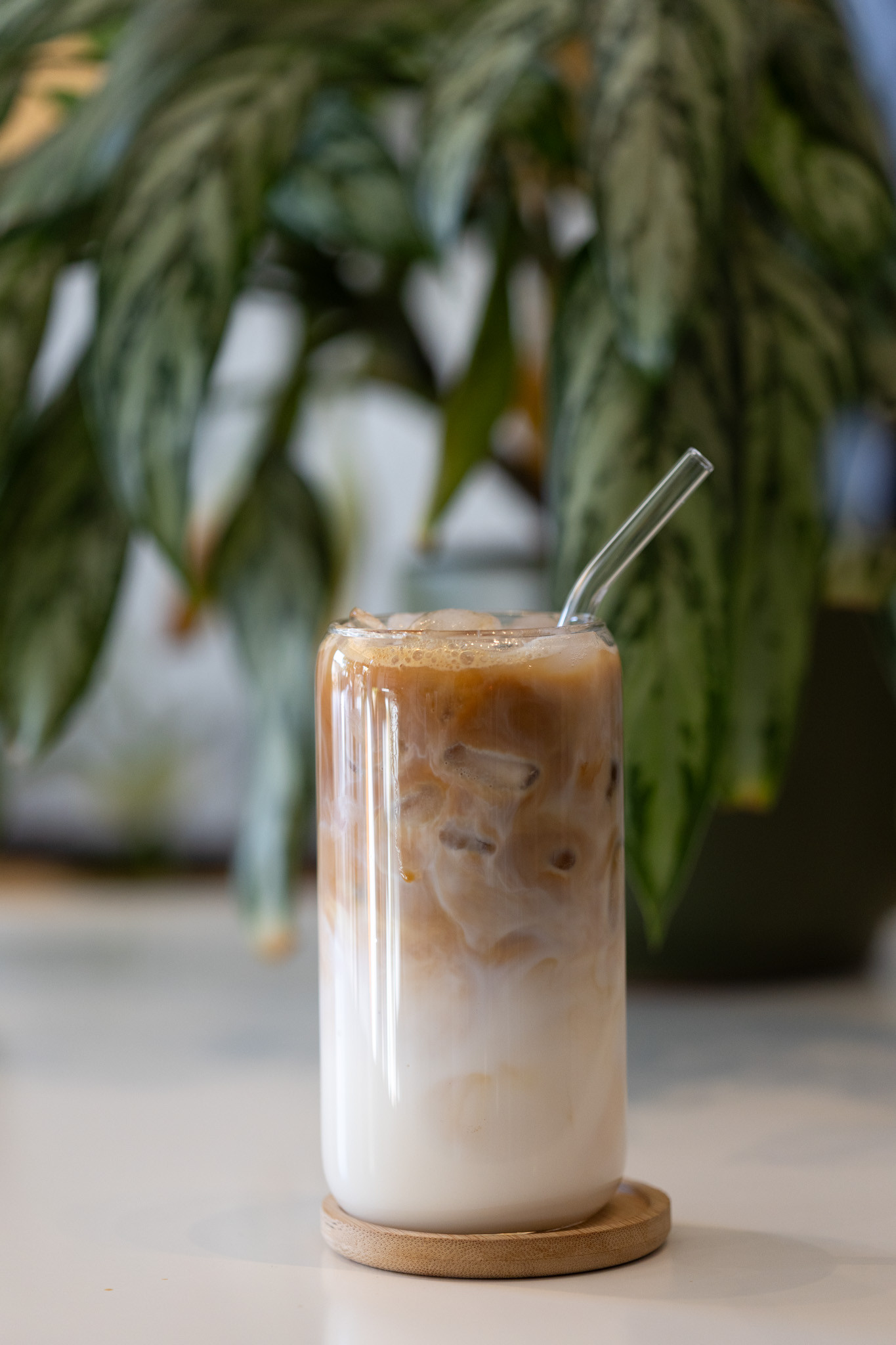 Latte en las Rocas